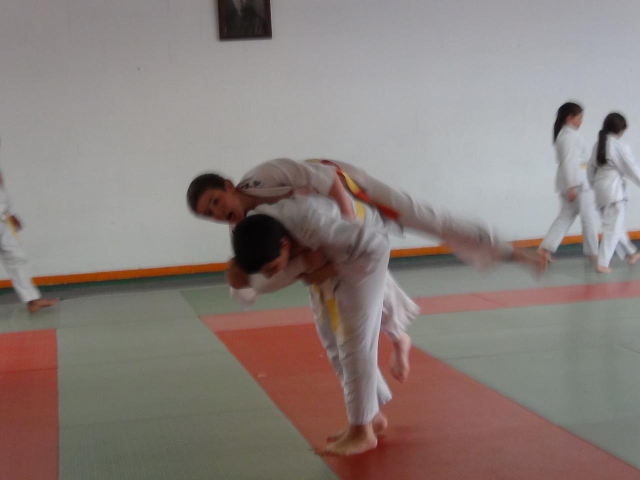 STAGE JUDO Mai 2013 (51)