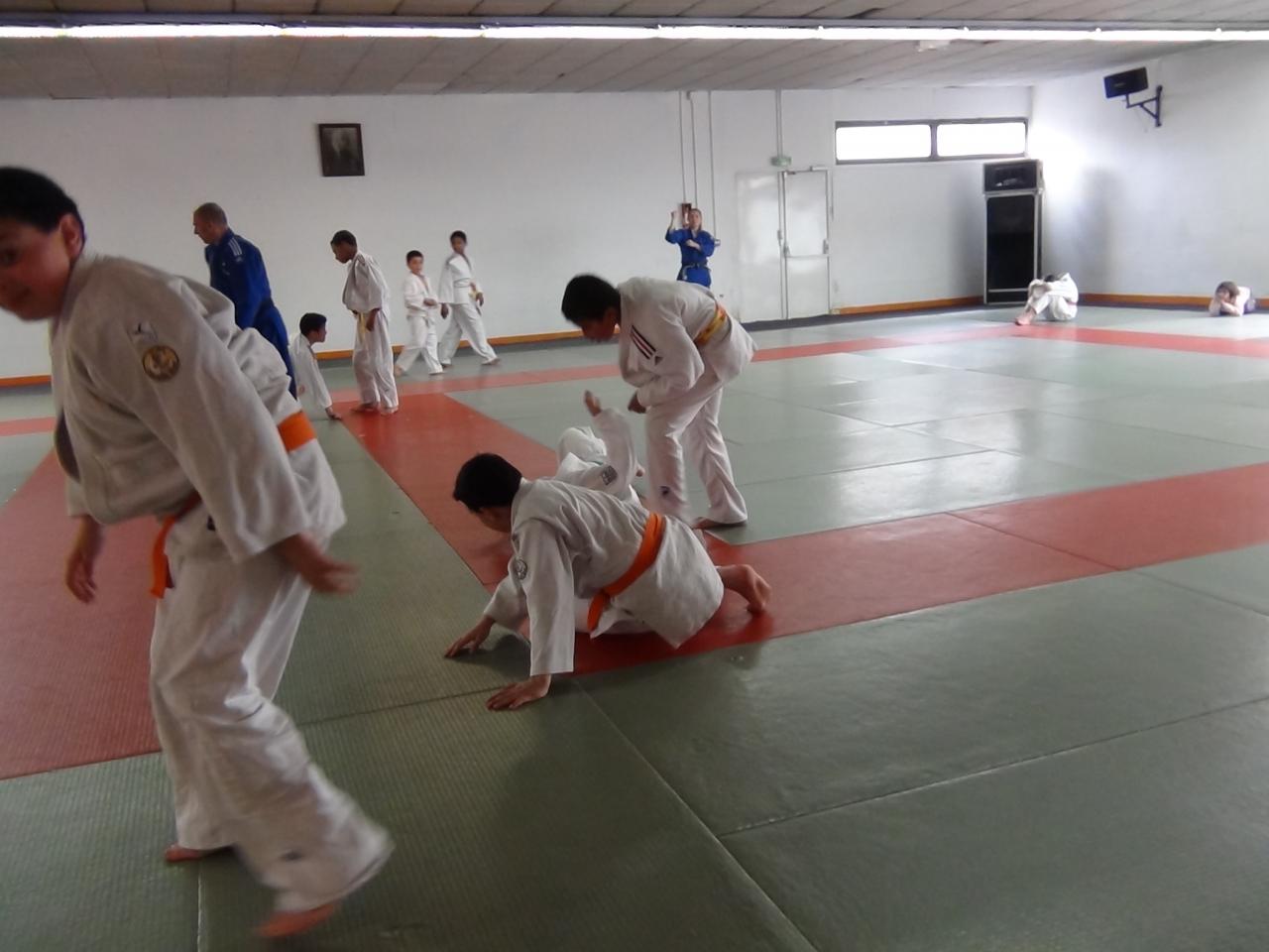 STAGE JUDO Mai 2013 (53)