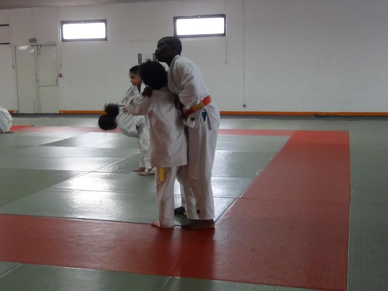 STAGE JUDO Mai 2013 (54)
