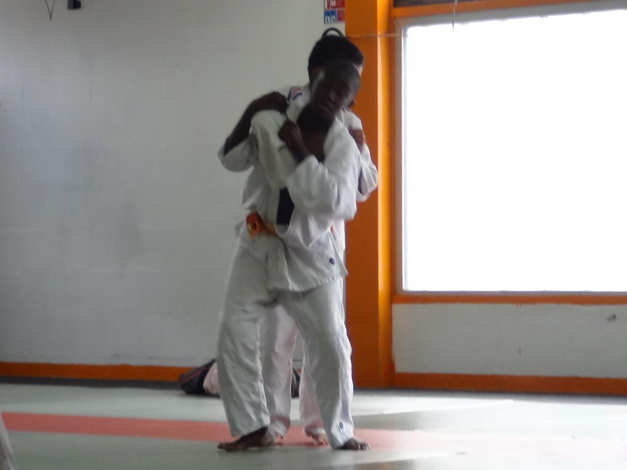 STAGE JUDO Mai 2013 (59)