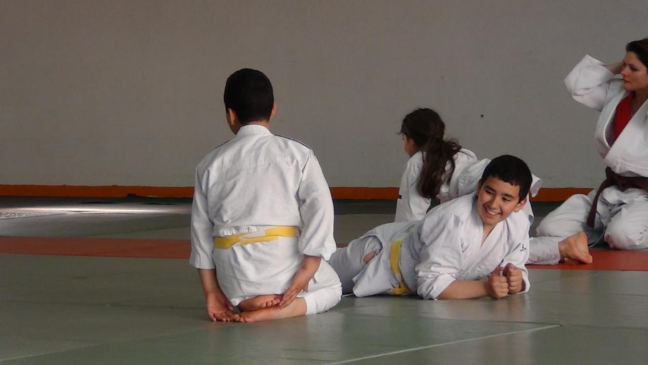STAGE JUDO Mai 2013 (6)