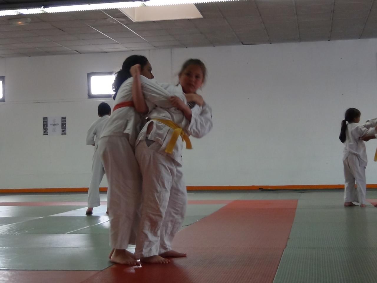 STAGE JUDO Mai 2013 (60)