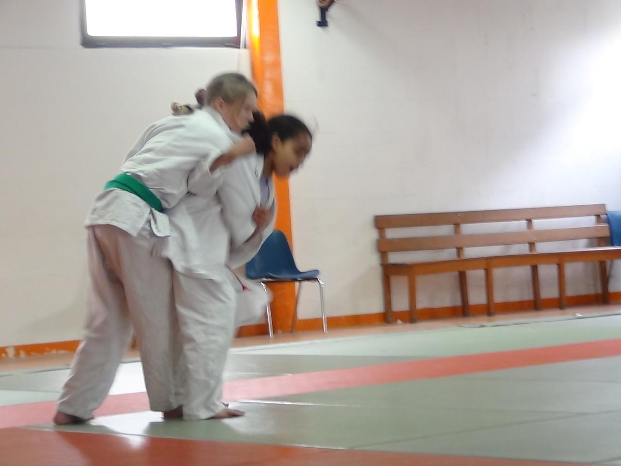 STAGE JUDO Mai 2013 (61)
