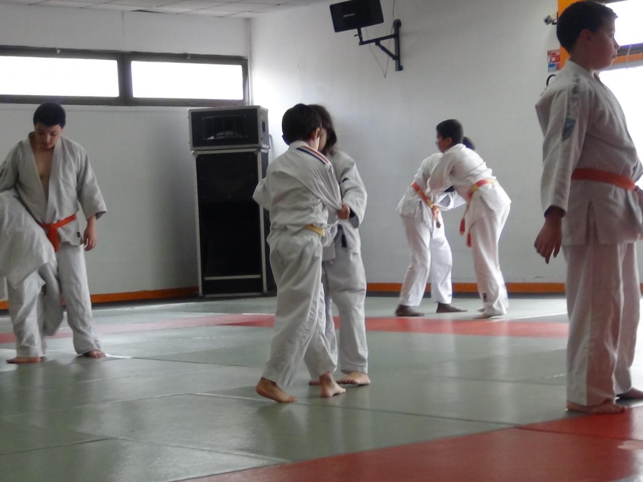 STAGE JUDO Mai 2013 (67)