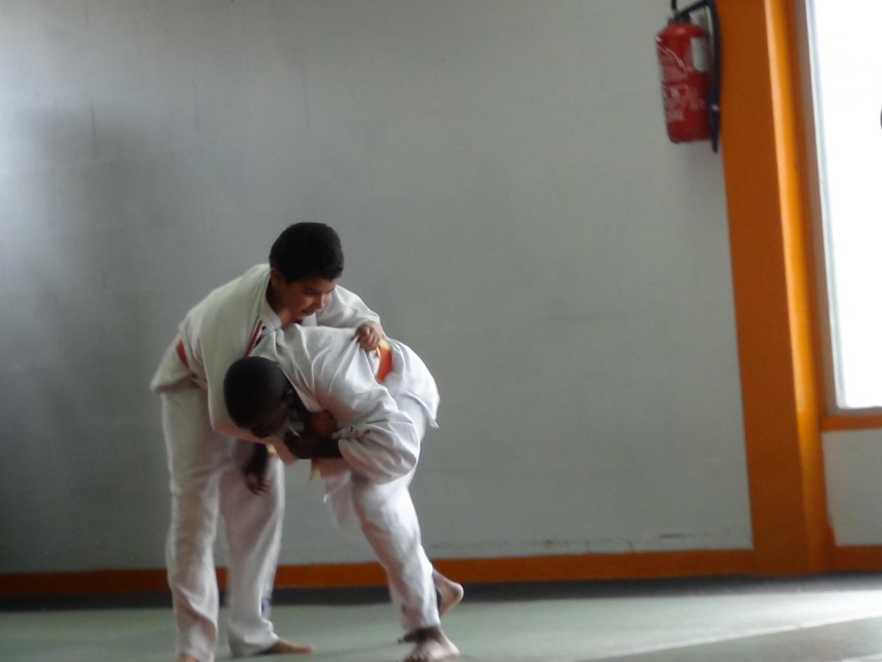 STAGE JUDO Mai 2013 (68)