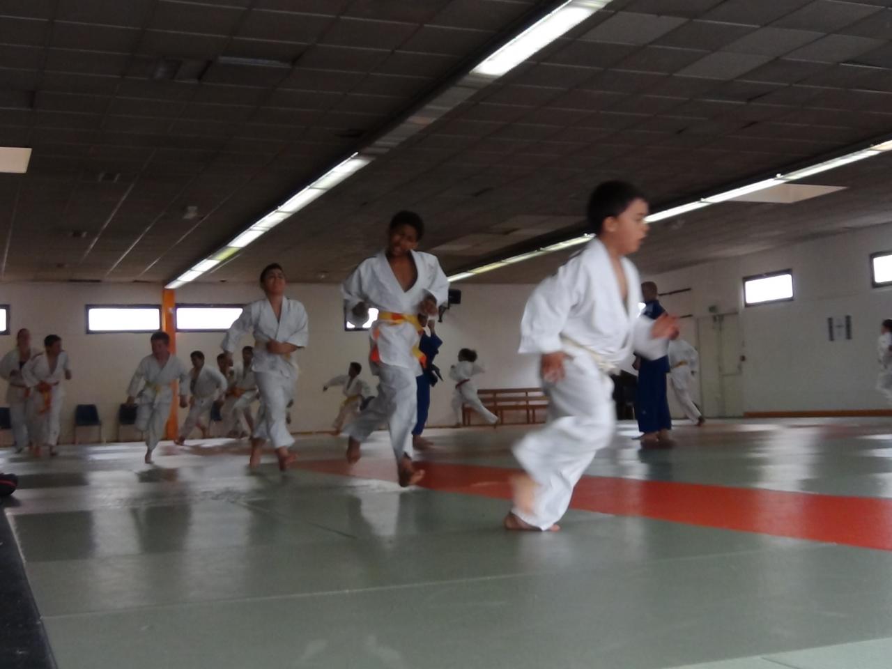 STAGE JUDO Mai 2013 (7)