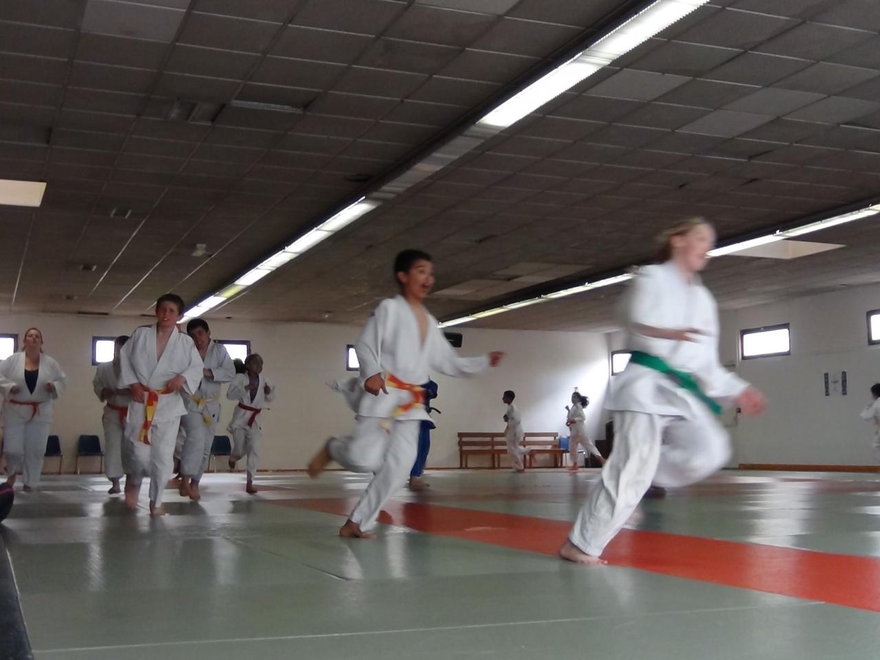 STAGE JUDO Mai 2013 (8)