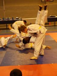 gala-judo-15.jpg