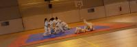 Gala judo 2017 groupe 3 partie 3 1